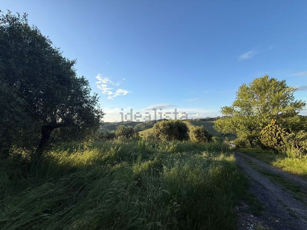 terreno agricolo in vendita a Fonte Nuova in zona Selva dei Cavalieri