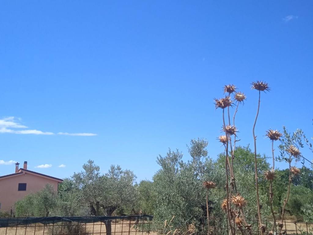 casa indipendente in vendita a Fonte Nuova