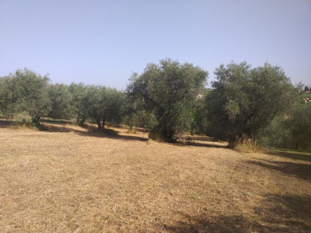 terreno edificabile in vendita a Fonte Nuova in zona Torre Lupara