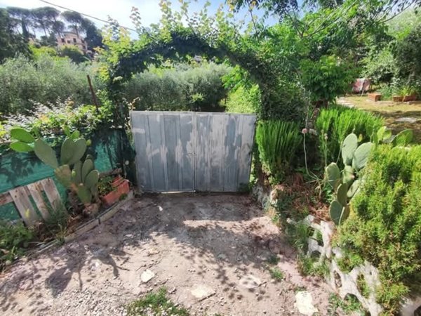 terreno agricolo in vendita a Fonte Nuova