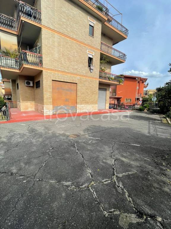 appartamento in vendita a Fonte Nuova in zona Torre Lupara