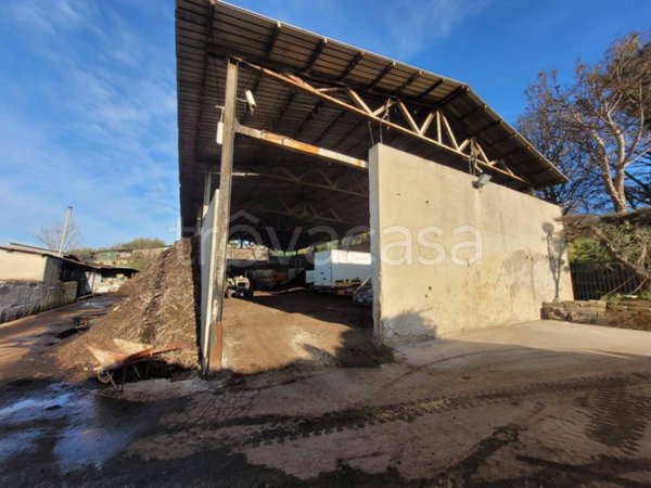 locale commerciale in vendita a Fonte Nuova in zona Torre Lupara