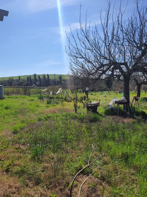 terreno agricolo in vendita a Fonte Nuova in zona Santa Lucia