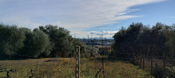 terreno edificabile in vendita a Fonte Nuova