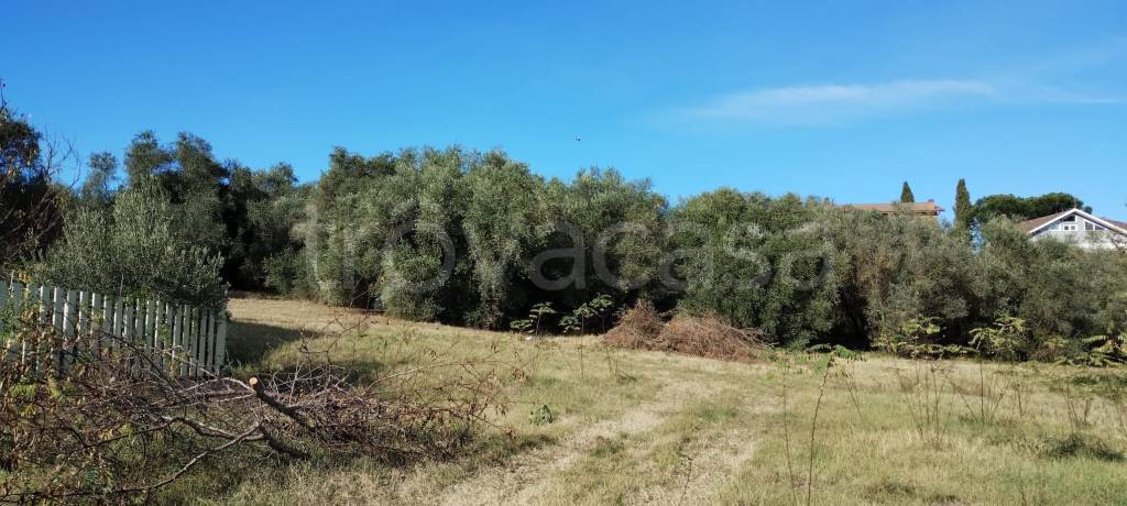 terreno edificabile in vendita a Fonte Nuova in zona Santa Lucia