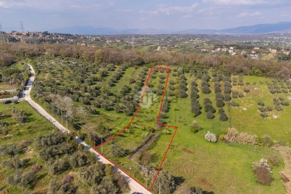 terreno agricolo in vendita a Fonte Nuova in zona Santa Lucia