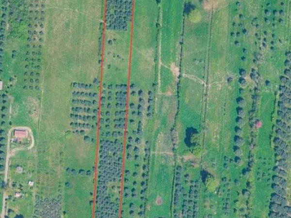 terreno agricolo in vendita a Fonte Nuova in zona Selva dei Cavalieri