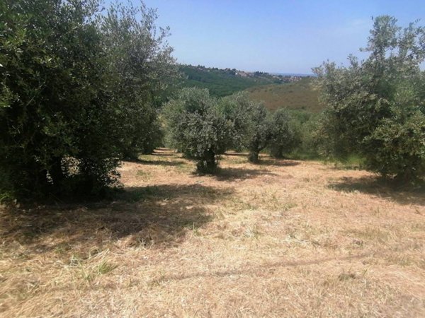 terreno agricolo in vendita a Fonte Nuova in zona Selva dei Cavalieri