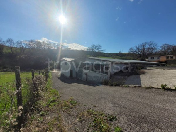 locale commerciale in vendita a Fonte Nuova