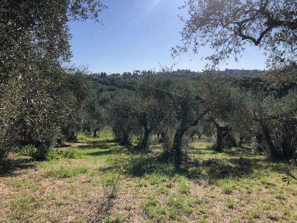 terreno in vendita a Fonte Nuova in zona Torre Lupara