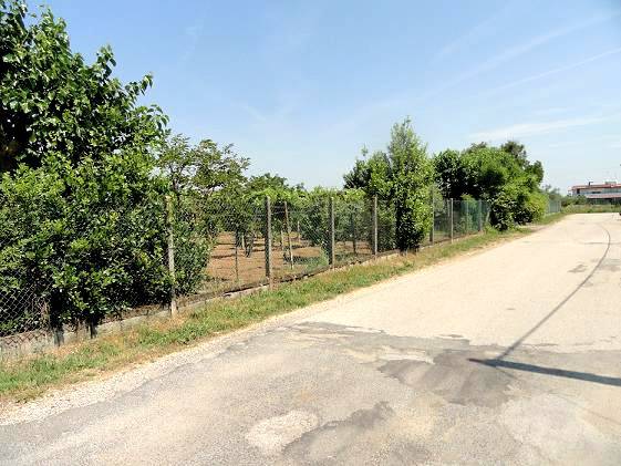 terreno agricolo in vendita ad Aprilia in zona Campo di Carne