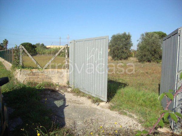 terreno agricolo in vendita ad Aprilia in zona Pantanelle