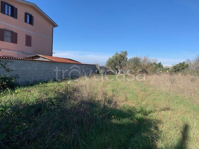 terreno agricolo in vendita ad Aprilia in zona Campoleone