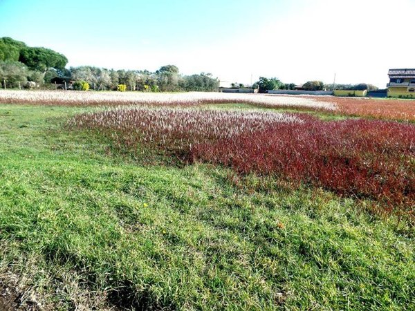 terreno agricolo in vendita ad Aprilia in zona Campoverde