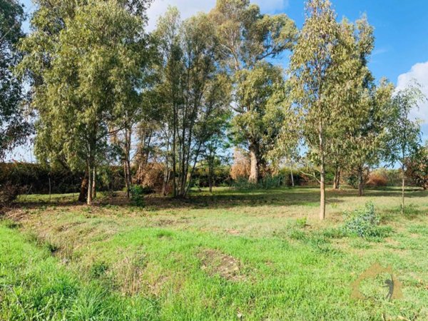 terreno agricolo in vendita ad Aprilia in zona Campoverde
