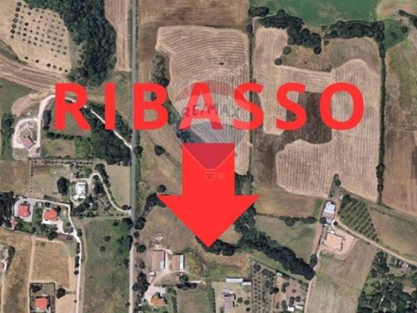 terreno agricolo in vendita ad Aprilia in zona Campoleone