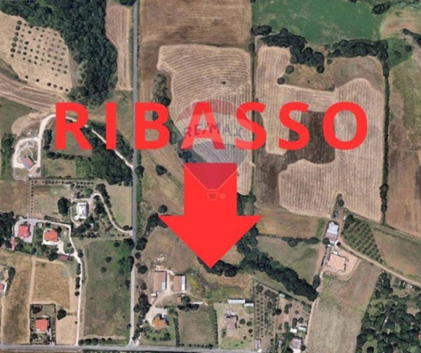 terreno agricolo in vendita ad Aprilia in zona Casalazzara