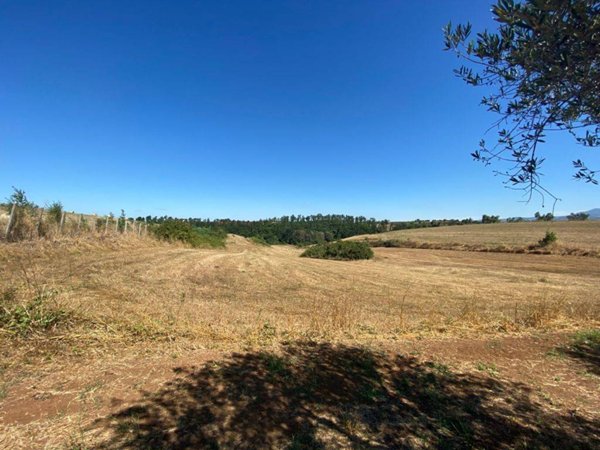 terreno agricolo in vendita ad Aprilia in zona Fossignano