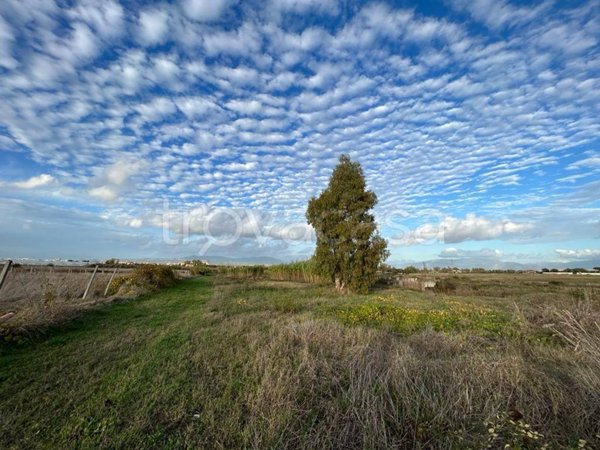 terreno agricolo in vendita ad Aprilia in zona Pantanelle