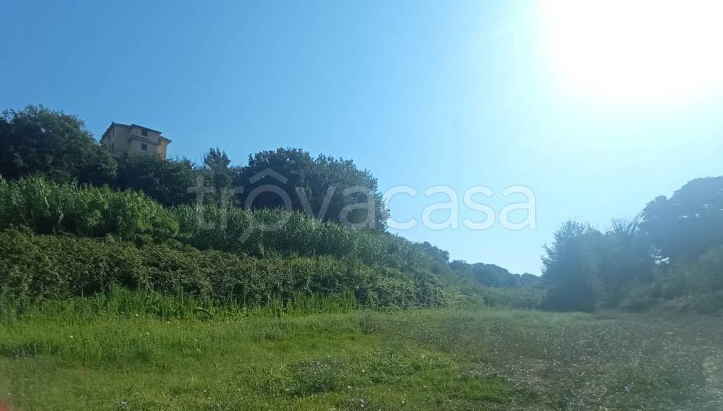 terreno agricolo in vendita ad Aprilia in zona Fossignano
