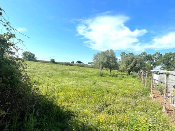 terreno agricolo in vendita ad Aprilia in zona Cogna