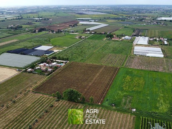 terreno agricolo in vendita ad Aprilia
