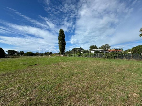 terreno agricolo in vendita ad Aprilia in zona Pantanelle