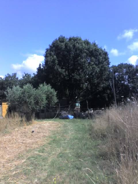terreno agricolo in vendita ad Aprilia in zona Campoverde
