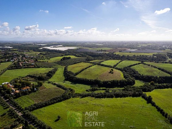 terreno agricolo in vendita ad Aprilia in zona Campoleone