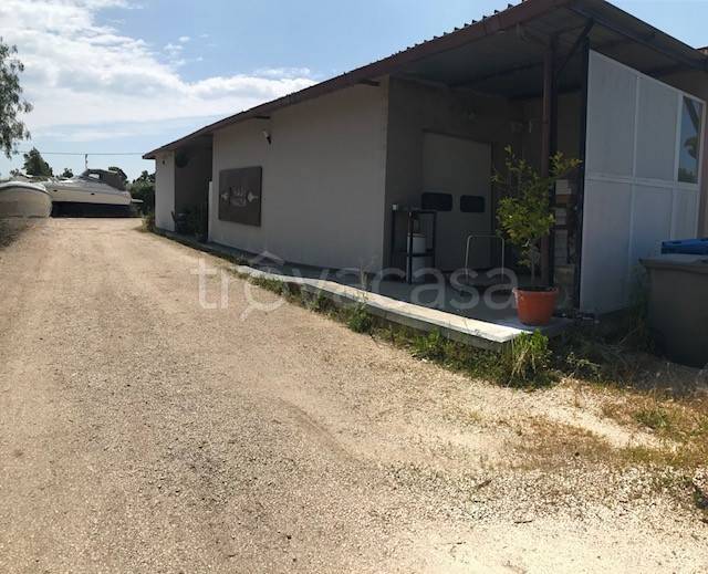 locale commerciale in vendita ad Aprilia in zona Campo di Carne