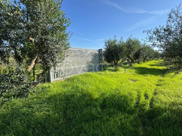 terreno agricolo in vendita ad Aprilia in zona Campoverde