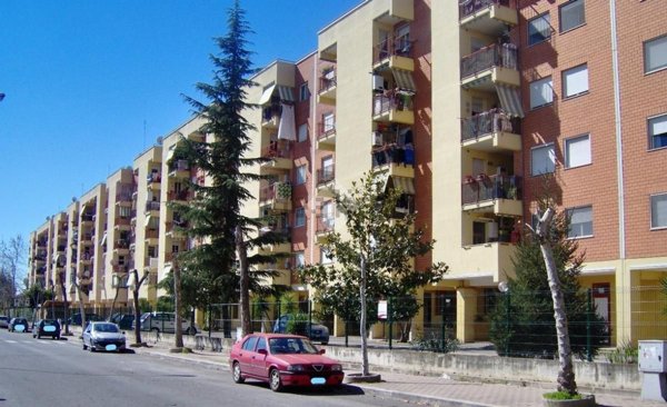 immagine annuncio 0 di 1