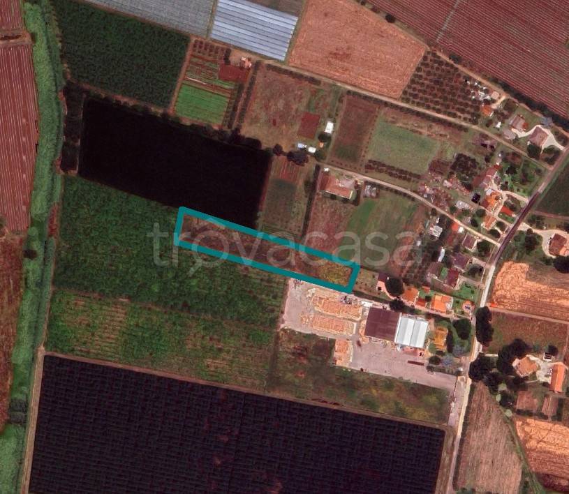 terreno agricolo in vendita ad Aprilia in zona Torre del Padiglione