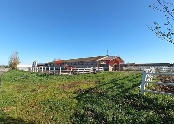 locale di sgombero in vendita ad Aprilia