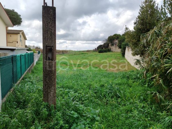 terreno agricolo in vendita ad Aprilia in zona Campoleone
