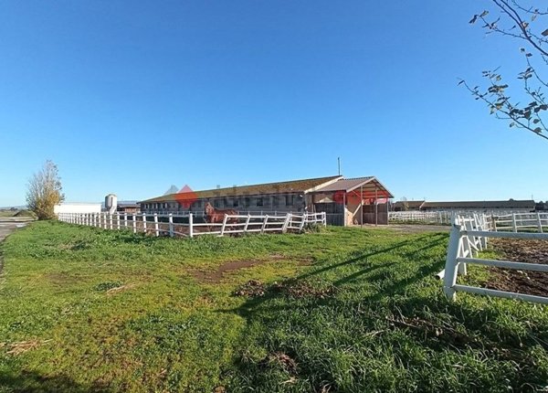 appartamento in vendita ad Aprilia