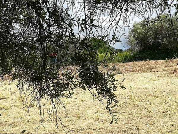 terreno agricolo in vendita ad Aprilia in zona Fossignano