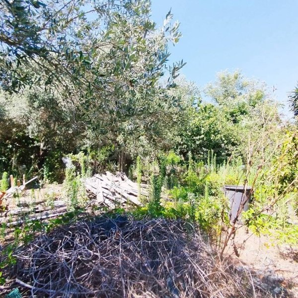 terreno agricolo in vendita ad Aprilia in zona Cogna