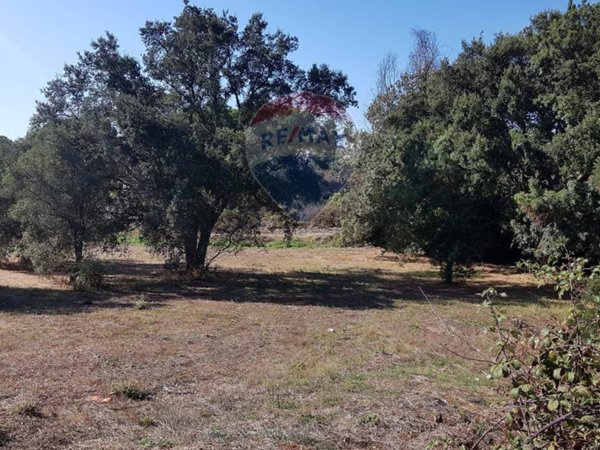 terreno agricolo in vendita ad Aprilia in zona Cogna