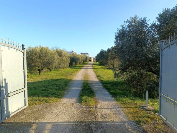 casa indipendente in vendita ad Aprilia in zona Riserva Nuova