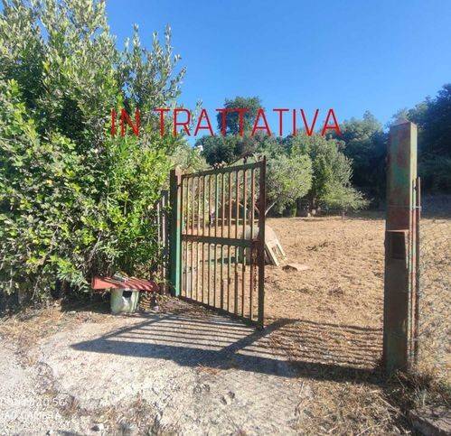 terreno agricolo in vendita ad Aprilia in zona Fossignano
