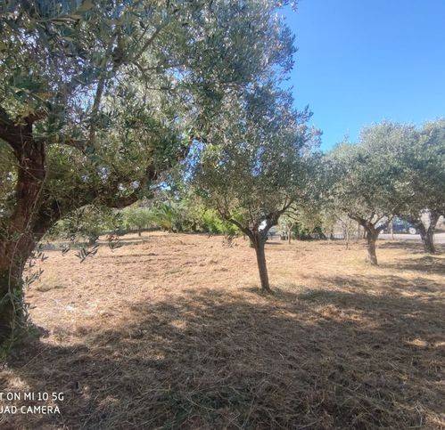 terreno agricolo in vendita ad Aprilia in zona Fossignano