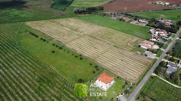terreno agricolo in vendita ad Aprilia in zona Torre del Padiglione