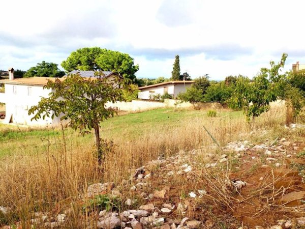 terreno agricolo in vendita ad Aprilia in zona Campo di Carne