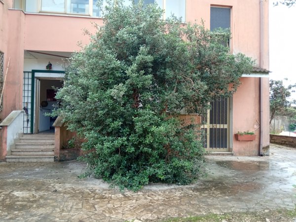 casa indipendente in vendita ad Aprilia