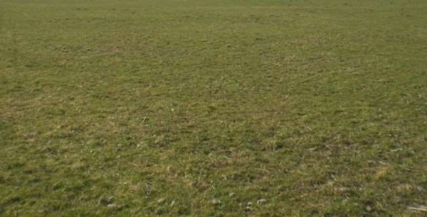 terreno agricolo in vendita ad Aprilia
