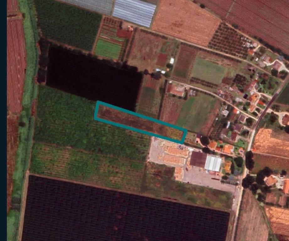 terreno agricolo in vendita ad Aprilia in zona Torre del Padiglione
