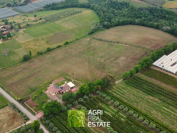terreno agricolo in vendita ad Aprilia in zona Campoleone