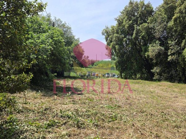 terreno agricolo in vendita ad Aprilia in zona Fossignano