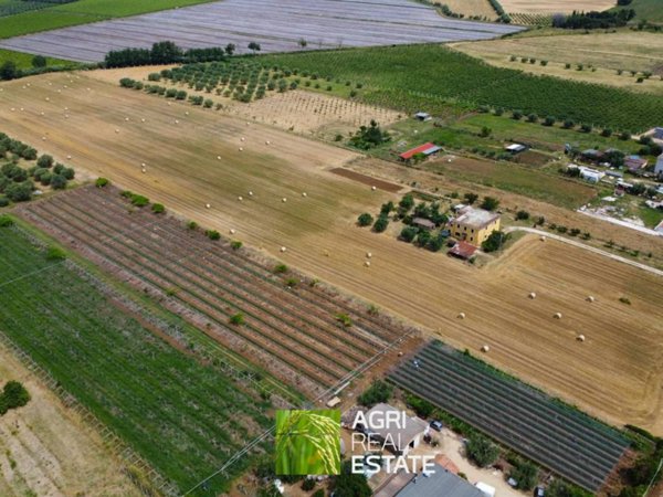 terreno agricolo in vendita ad Aprilia